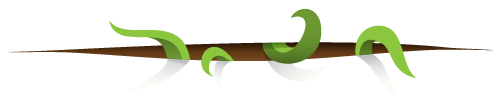 spacer4